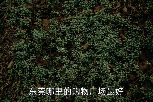 東莞東城哪里有逛街的地方，東莞購物商場有哪些啊