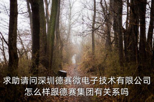 求助請問深圳德賽微電子技術有限公司怎么樣跟德賽集團有關系嗎