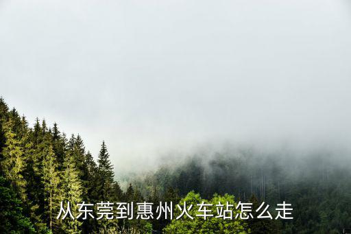 從東莞到惠州火車站怎么走