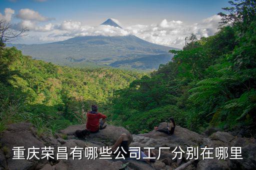 重慶榮昌有哪些公司工廠分別在哪里