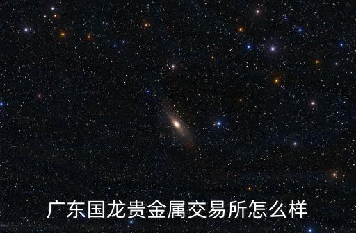 深圳國龍，深圳國龍不錯 很正規 專家分析得很準