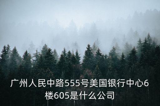 廣州人民中路555號美國銀行中心6樓605是什么公司