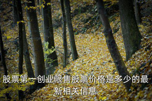 股票第一創業限售股票價格是多少的最新相關信息