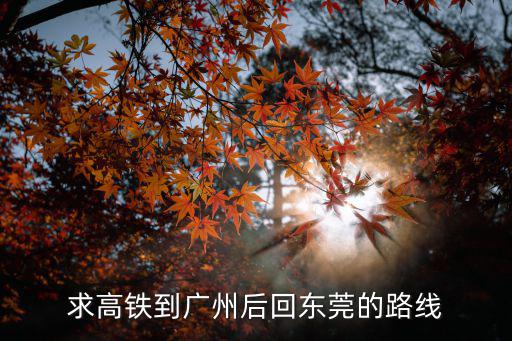 求高鐵到廣州后回東莞的路線