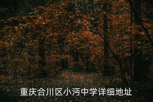 重慶合川區小沔中學詳細地址