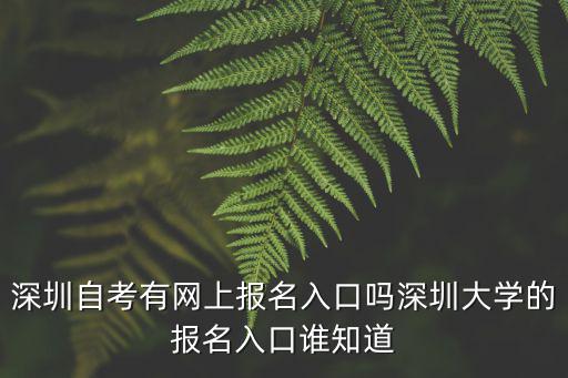 深圳自考有網(wǎng)上報(bào)名入口嗎深圳大學(xué)的報(bào)名入口誰知道