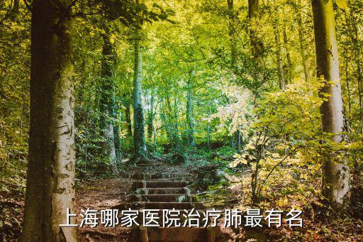 上海哪家醫(yī)院治療肺最有名