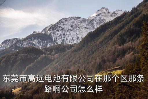東莞市高遠電池有限公司在那個區那條路啊公司怎么樣