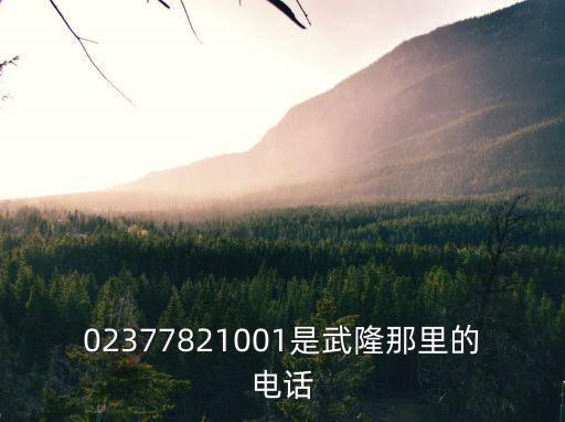 廣州洞庭湖土菜館 環市中路 電話，02377821001是武隆那里的電話
