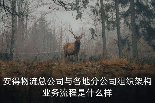 安得物流總公司與各地分公司組織架構(gòu)業(yè)務(wù)流程是什么樣