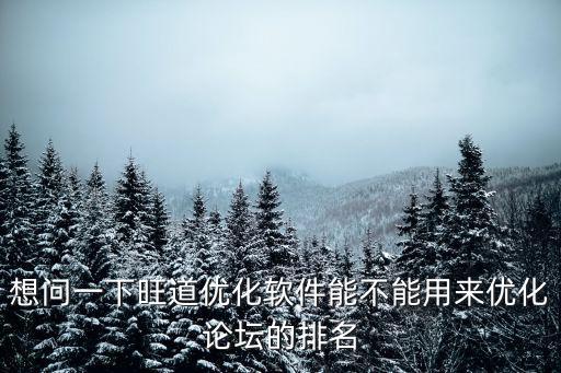 想問一下旺道優(yōu)化軟件能不能用來優(yōu)化論壇的排名