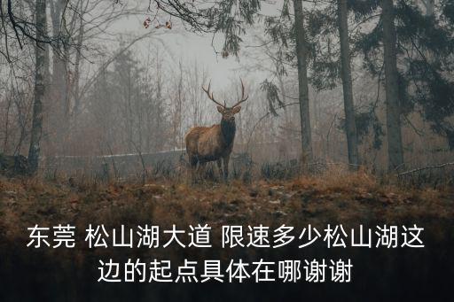 東莞 松山湖大道 限速多少松山湖這邊的起點具體在哪謝謝