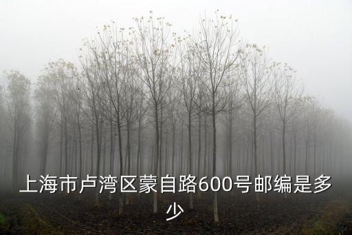 上海市盧灣區(qū)蒙自路600號郵編是多少