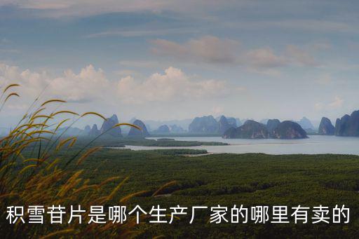 積雪苷片是哪個生產(chǎn)廠家的哪里有賣的
