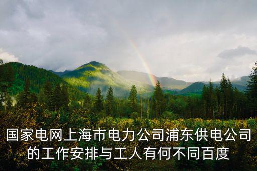 國家電網上海市電力公司浦東供電公司的工作安排與工人有何不同百度