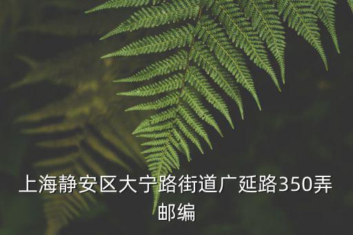 上海靜安區大寧路街道廣延路350弄郵編
