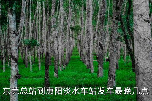 東莞總站到惠陽(yáng)淡水車(chē)站發(fā)車(chē)最晚幾點(diǎn)