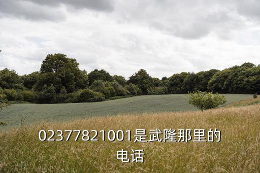 02377821001是武隆那里的電話