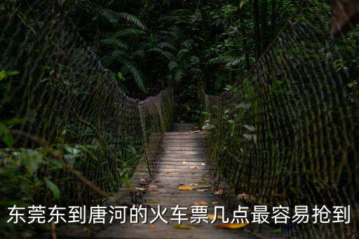 東莞東到唐河的火車票幾點最容易搶到