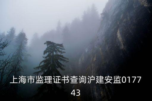 上海市監理證書查詢滬建安監017743
