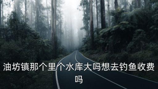 油坊鎮那個里個水庫大嗎想去釣魚收費嗎