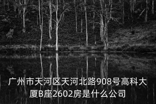 廣州市天河區(qū)天河北路908號高科大廈B座2602房是什么公司
