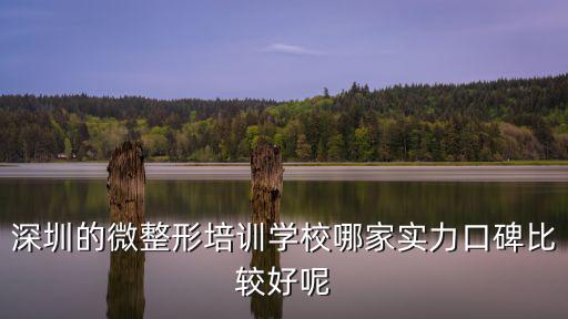 深圳的微整形培訓(xùn)學(xué)校哪家實(shí)力口碑比較好呢