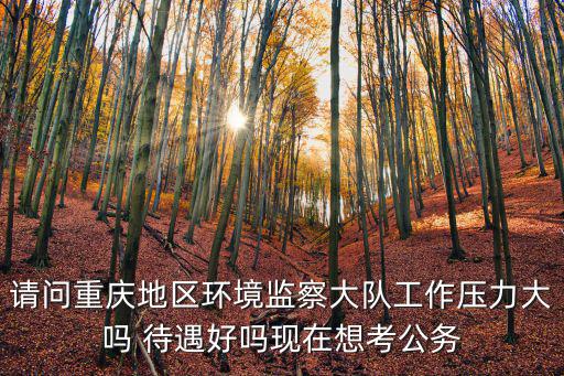 請問重慶地區(qū)環(huán)境監(jiān)察大隊(duì)工作壓力大嗎 待遇好嗎現(xiàn)在想考公務(wù)