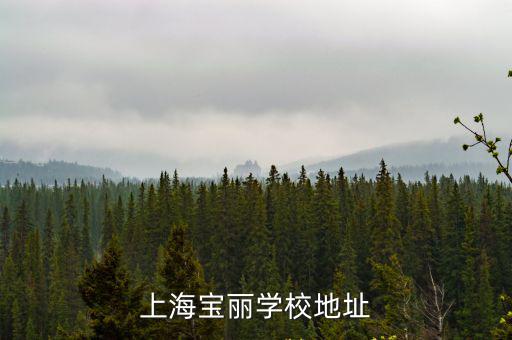 上海寶麗學校地址