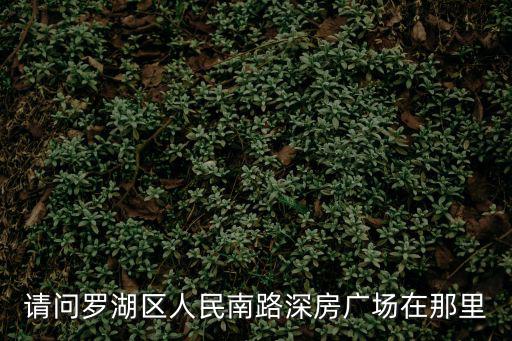 請問羅湖區人民南路深房廣場在那里