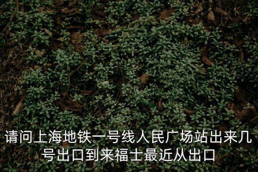 請問上海地鐵一號線人民廣場站出來幾號出口到來福士最近從出口