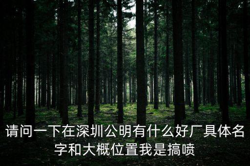 請(qǐng)問(wèn)一下在深圳公明有什么好廠具體名字和大概位置我是搞噴