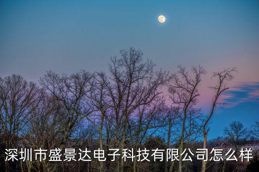 深圳市盛景達(dá)電子科技有限公司怎么樣