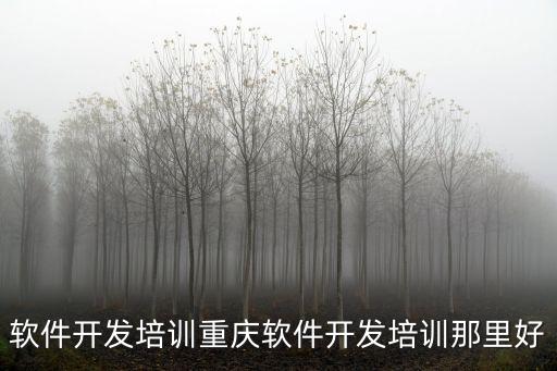 重慶市創客課程，軟件開發培訓重慶軟件開發培訓那里好