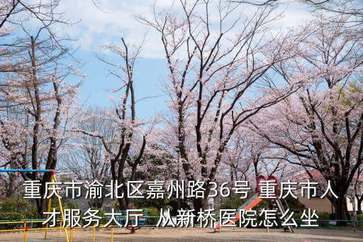 重慶市渝北區嘉州路36號 重慶市人才服務大廳  從新橋醫院怎么坐