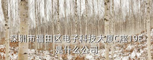 深圳市德友電子設(shè)備有限公司，深圳有哪些游戲機(jī)生產(chǎn)廠家