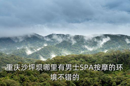 重慶沙坪壩哪里有男士SPA按摩的環(huán)境不錯的