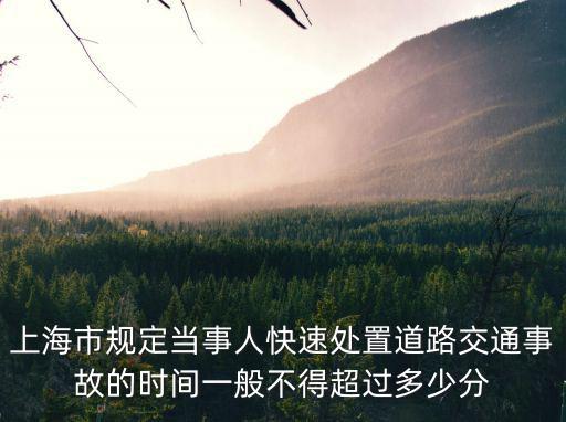 上海市規定當事人快速處置道路交通事故的時間一般不得超過多少分