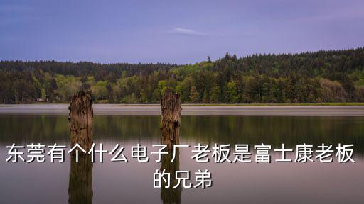 東莞有個什么電子廠老板是富士康老板的兄弟