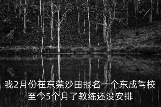 我2月份在東莞沙田報(bào)名一個(gè)東成駕校至今5個(gè)月了教練還沒安排