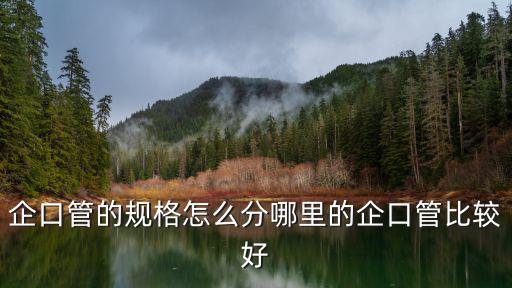 廣州水泥制品網(wǎng)，哪個廠家做拉森鋼板樁施工的