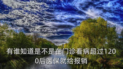 廣州醫保超過1200，廣州醫保卡上每月金額是多少我交了兩年多了賬上余額才1200