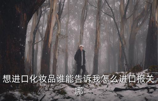 想進(jìn)口化妝品誰(shuí)能告訴我怎么進(jìn)口報(bào)關(guān)哪