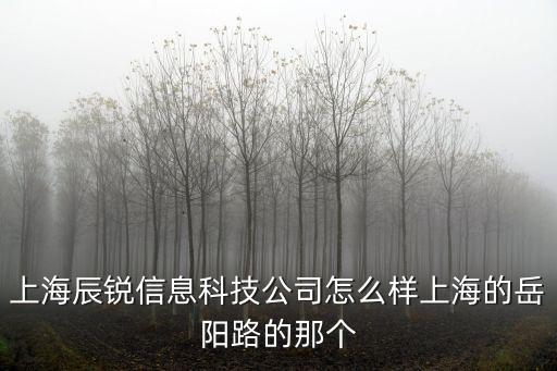 上海辰銳信息科技公司怎么樣上海的岳陽路的那個