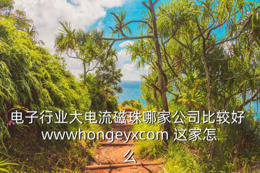 電子行業(yè)大電流磁珠哪家公司比較好 wwwhongeyxcom 這家怎么