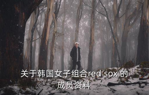 關(guān)于韓國女子組合red sox 的成員資料