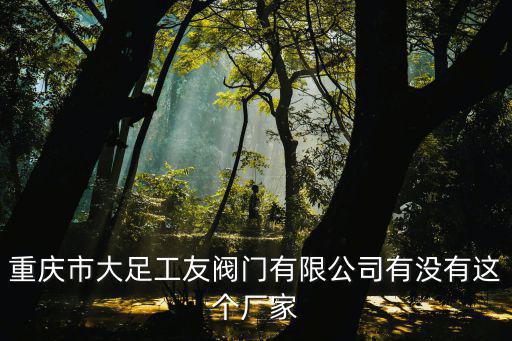 重慶市大足工友閥門有限公司有沒有這個廠家