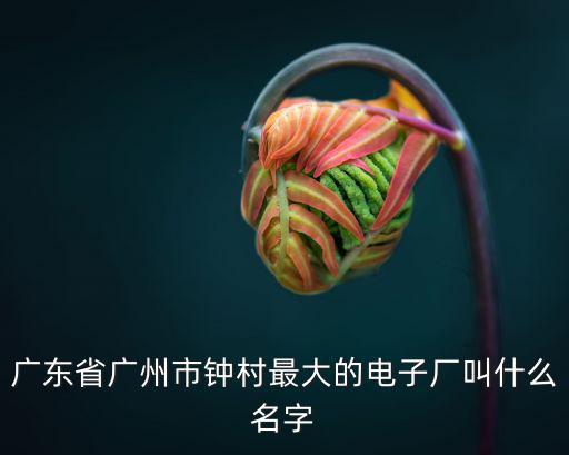 廣東省廣州市鐘村最大的電子廠叫什么名字