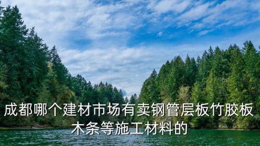 成都哪個建材市場有賣鋼管層板竹膠板木條等施工材料的