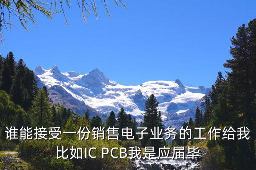 誰能接受一份銷售電子業務的工作給我比如IC PCB我是應屆畢